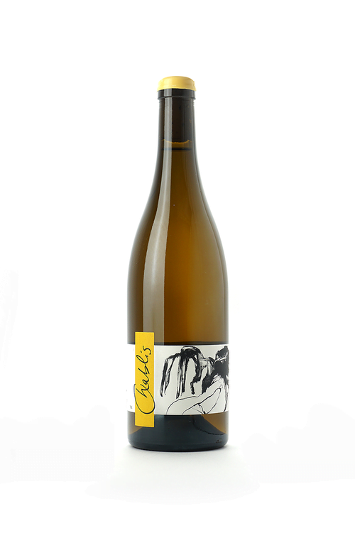 Thomas Pico Domaine Pattes Loup Chablis (Mise Tardive) 2021 (1x75cl)